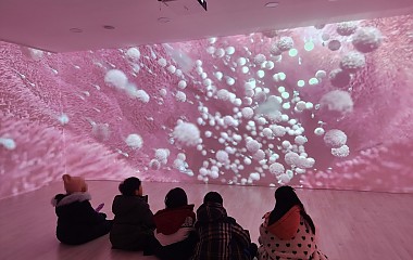 체험관 성교육 (초등학생)